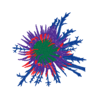 Graphic Other