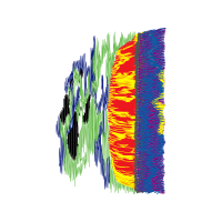 Graphic Other