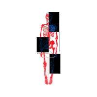 Graphic Other