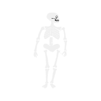 Graphic Other
