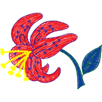 Graphic Other