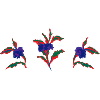 Graphic Other