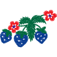 Graphic Other