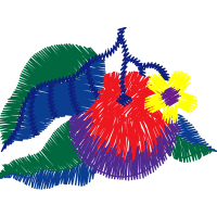 Graphic Other