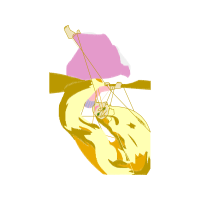 Graphic Other
