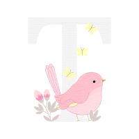 Graphic Other