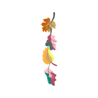 Graphic Other