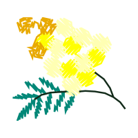 Graphic Other