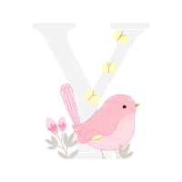 Graphic Other