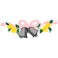 Graphic Other