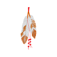 Graphic Other