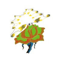 Graphic Other