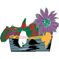 Graphic Other