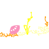 Graphic Other