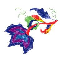 Graphic Other