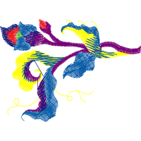 Graphic Other