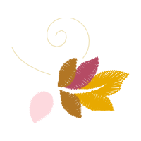 Graphic Other