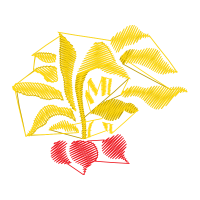 Graphic Other