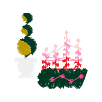 Graphic Other