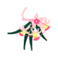 Graphic Other