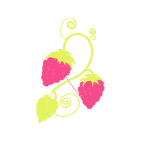 Graphic Other