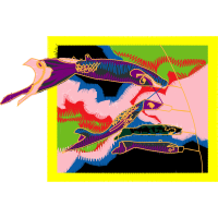 Graphic Other