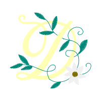 Graphic Other