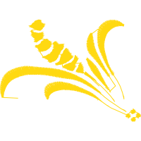 Graphic Other