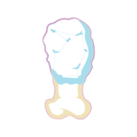 Graphic Other