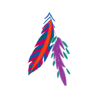 Graphic Other