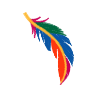 Graphic Other