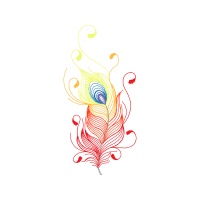 Graphic Other
