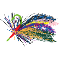 Graphic Other