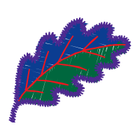 Graphic Other