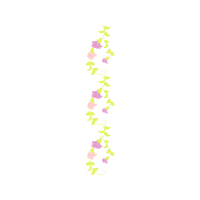 Graphic Other