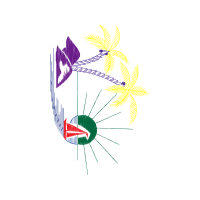 Graphic Other