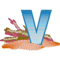 Graphic Other