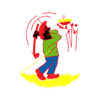 Graphic Other