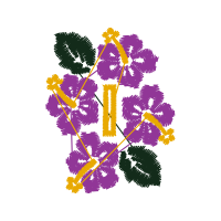 Graphic Other