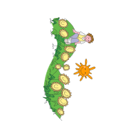 Graphic Other