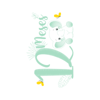 Graphic Other