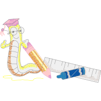 Graphic Other