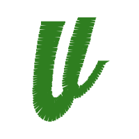 Graphic Other