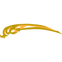Graphic Other
