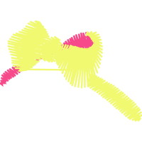 Graphic Other