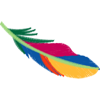 Graphic Other