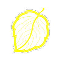 Graphic Other