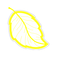 Graphic Other