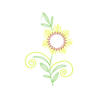 Graphic Other