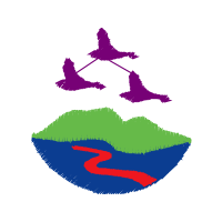 Graphic Other
